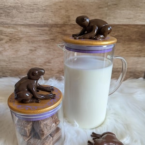Chocolate Frog Glass Pitcher