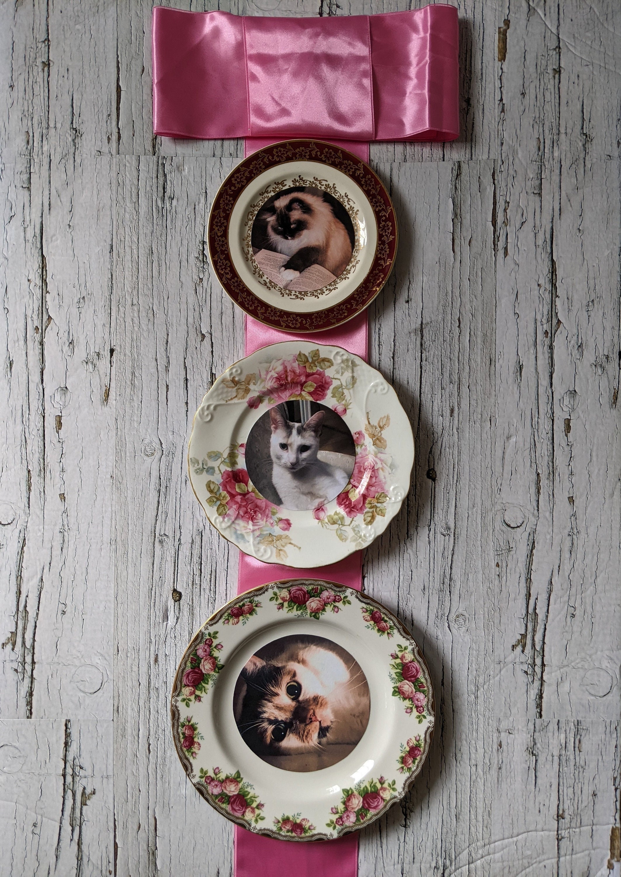 Dolores Umbridge Cats