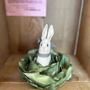 May include: A stuffed white bunny with long ears and a blue and white checkered collar, nestled in a bed of green fabric. The bunny is the focal point, set against a wooden background. A pink sign is visible in the background.