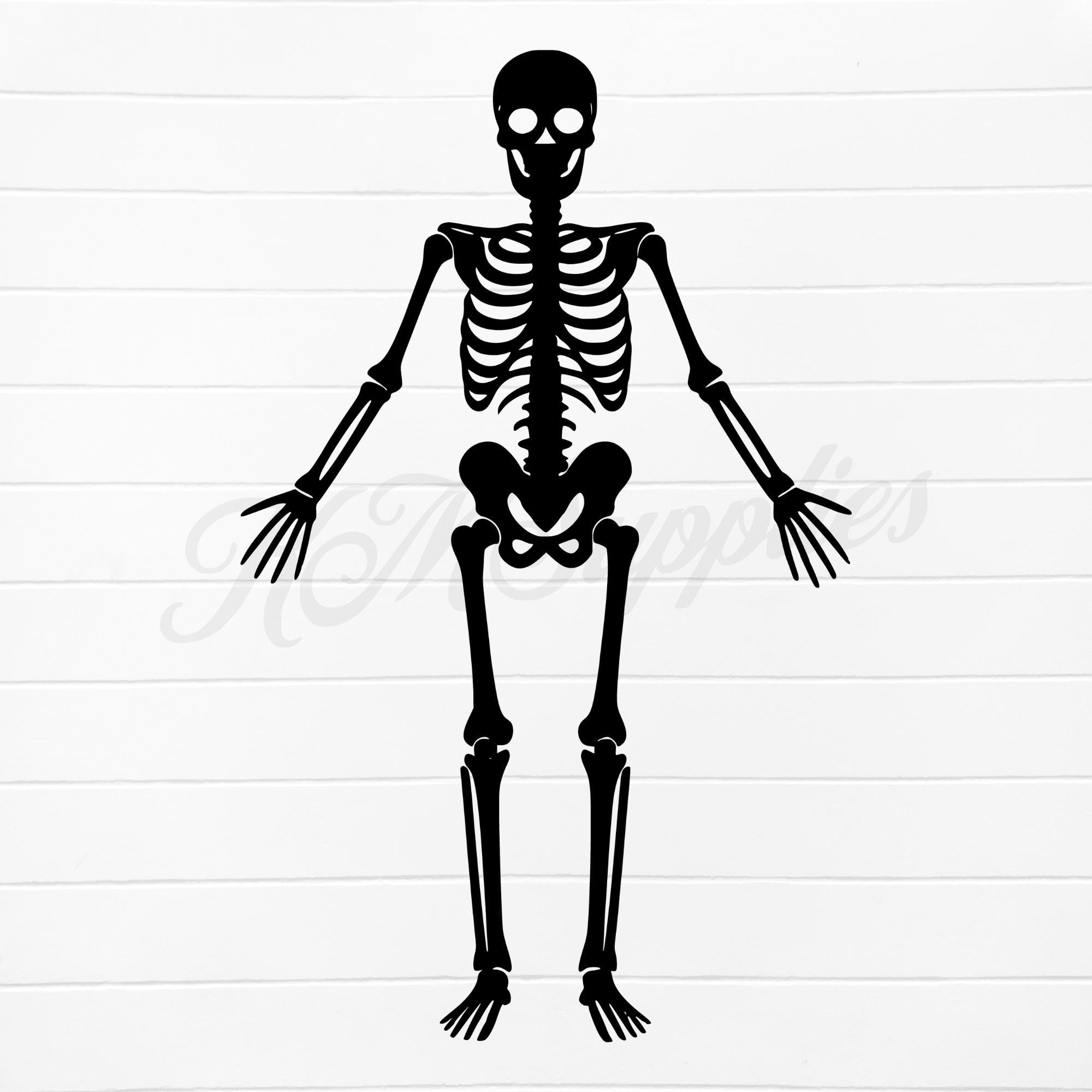 Skeleton Silhouette Svg, Skeleton Png Designs, Skeleton Svg File ...