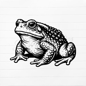 Könnte beinhalten: Detaillierte Schwarz-Weiß-Illustration einer Kröte. Die Kröte wird im Seitenprofil dargestellt, wobei ihre strukturierte Haut, großen Augen und detaillierten Gliedmaßen hervorgehoben werden. Das Kunstwerk ist vor einem weißen Hintergrund.