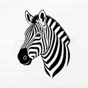 May include: A black and white illustration of a zebra's head, showcasing its distinctive striped pattern. The zebra's head is in profile, with its eye and ear visible. The background is a white, textured surface.