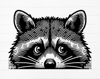 peeking raccoon svg, raccoon face svg, raccoon head clipart, raccoon head svg, raccoon digital download, raccoon vector file, raccoon vector