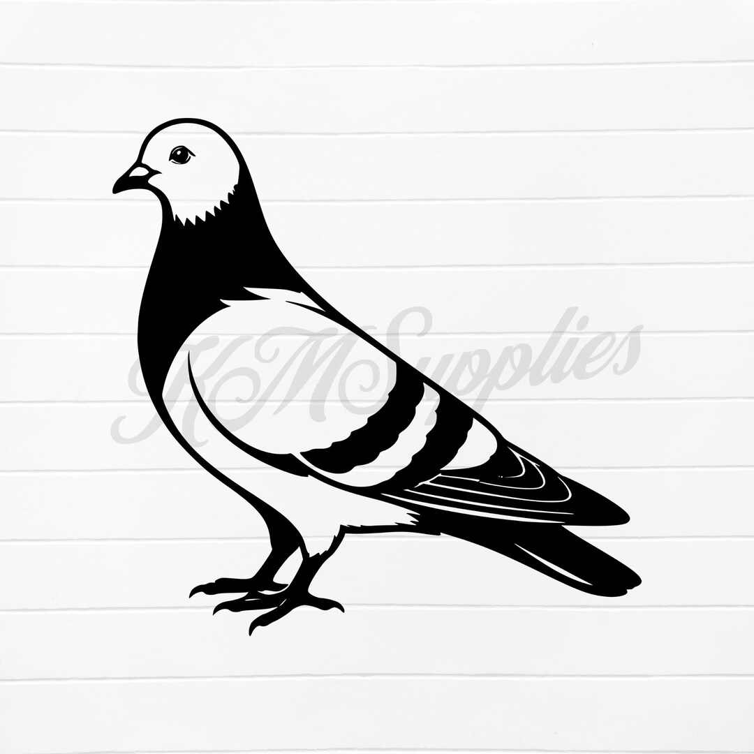 Pigen Vector Pigeon Png, Pigeon Svg, Pigeon Clipart, Pigeon Download, Pigeon ...