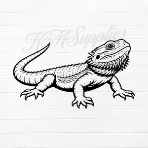 Op de afbeelding: Zwart-wit illustratie van een baardagame. Het reptiel wordt in profiel weergegeven, met gedetailleerde schubben, een stekelige baard en een lange staart. De afbeelding heeft een witte achtergrond met de tekst "H M Supplies" op de achtergrond.
