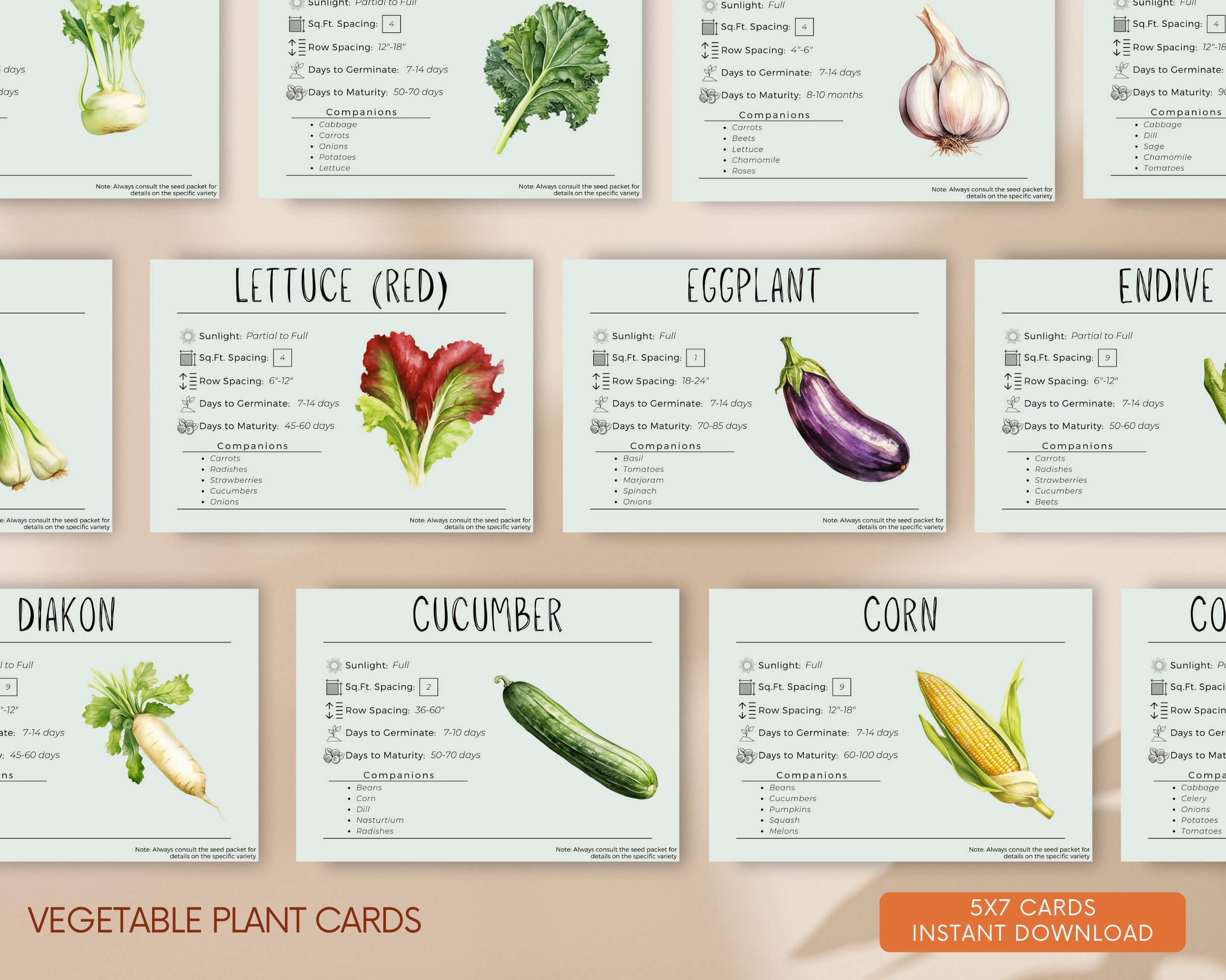 Vegetable Plant Cards With Planting Information - 5x7