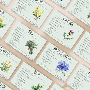May include: A set of ten illustrated cards featuring different herbs and plants. Each card includes the common name of the plant, along with information about its sunlight requirements, garden spacing, container size, mature size, hardiness zones, and common uses.