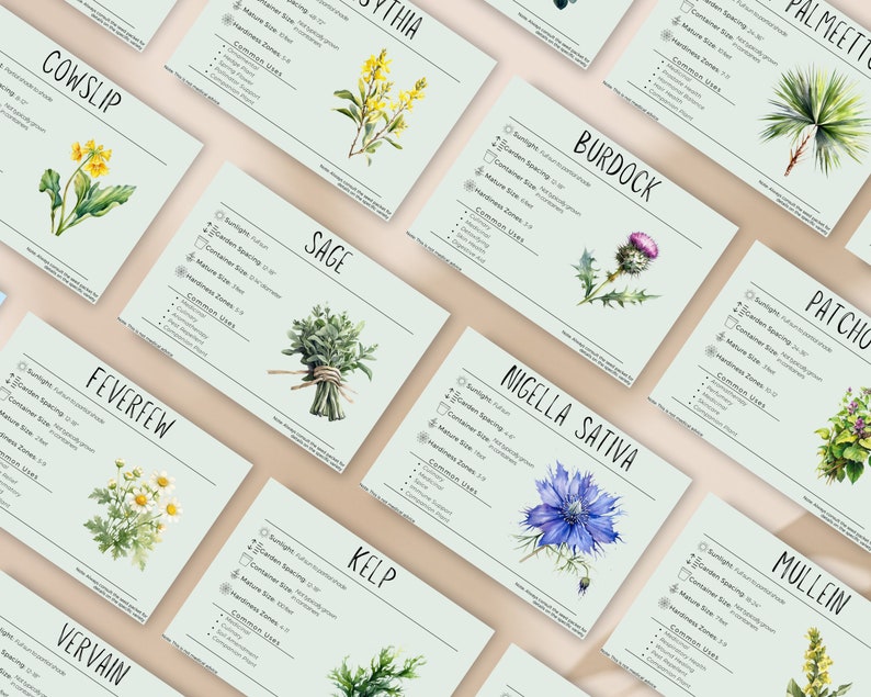 May include: A set of ten illustrated cards featuring different herbs and plants. Each card includes the common name of the plant, along with information about its sunlight requirements, garden spacing, container size, mature size, hardiness zones, and common uses.