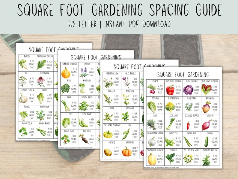 Op de afbeelding: Een printbare gids voor vierkante meter tuinieren, met illustraties van verschillende groenten en kruiden, met aanbevelingen voor de afstand tussen planten. De gids is onderverdeeld in secties, elk met een andere categorie planten. De gids is getiteld "Square Foot Gardening Spacing Guide" en "US Letter | Instant PDF Download".