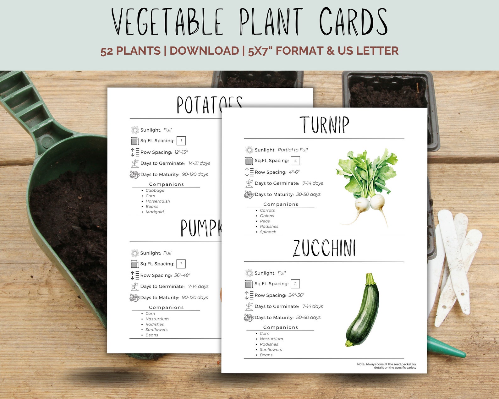 Vegetable Plant Cards With Planting Information - 5x7
