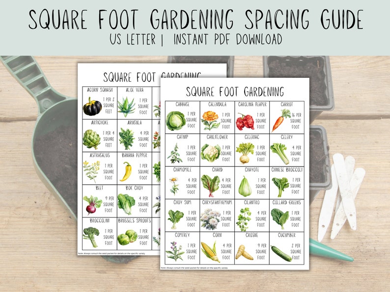 Op de afbeelding: Twee afdrukbare grafieken met aquarel-illustraties van verschillende groenten en kruiden. Elke grafiek heeft de titel "Square Foot Gardening" en geeft het aantal planten aan dat per vierkante voet kan worden gekweekt.