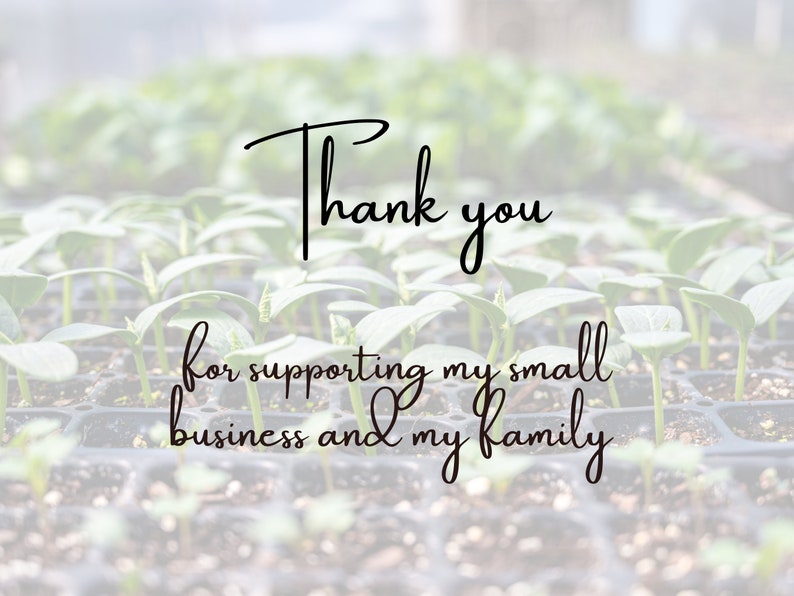 May include: A blurry image of a tray of small green seedlings with the text "Thank you for supporting my small business and my family" in black cursive writing.