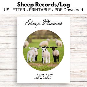 May include: A printable sheep planner for 2025. The cover features a white background with black text that says "Sheep Planner" and a circle with a photo of four lambs in a field. The text "2025" is at the bottom of the page.