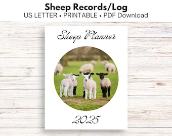 Könnte beinhalten: Ein druckbarer Schaf-Planer für 2025. Das Cover zeigt einen weißen Hintergrund mit schwarzem Text, der "Sheep Planner" sagt, und einen Kreis mit einem Foto von vier Lämmern auf einer Weide. Der Text "2025" befindet sich am unteren Rand der Seite.