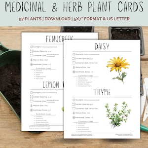 May include: Printable plant cards with illustrations of Fenugreek, Lemon Balm, Daisy, and Thyme. Each card includes information about sunlight, garden spacing, container size, mature size, hardiness zones, and common uses.