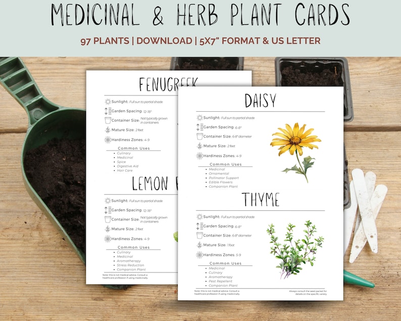 May include: Printable plant cards with illustrations of Fenugreek, Lemon Balm, Daisy, and Thyme. Each card includes information about sunlight, garden spacing, container size, mature size, hardiness zones, and common uses.