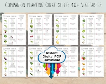 Guía de Cultivos Asociados - ¡Más de 40 Plantas! - Planificador y Organizador Imprimible - Descarga Instantánea en PDF