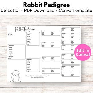 Rabbit Pedigree Chart Template Editable in Canva, US Letter Size, Instant Download, DIY Bunny Genealogy, Breeder Records, Lop