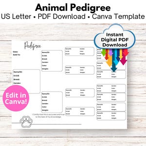 May include: A printable animal pedigree chart template in US Letter size. The chart is designed for use with Canva and includes sections for name, date of birth, breed, gender, and weight. The text "Edit in Canva!" is included in a pink circle. The text "Instant Digital PDF Download" is included in a cloud shape with colorful arrows pointing down.
