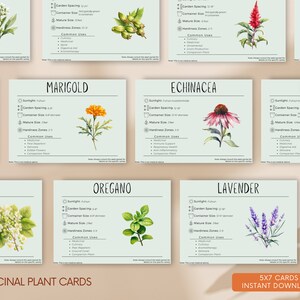 May include: Set of 10 printable cards featuring watercolor illustrations of medicinal plants. Each card includes the plant's name, sunlight requirements, garden spacing, container size, mature size, hardiness zones, and common uses. The cards are designed in a light green and white color scheme with a handwritten font.