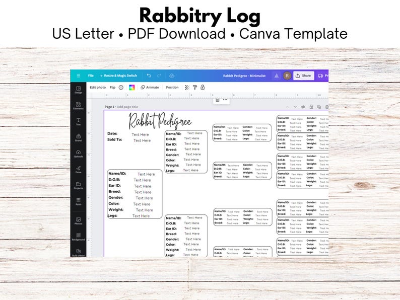 Rabbit Pedigree Lineage Chart, Editable Canva Template, Breeder Records ...