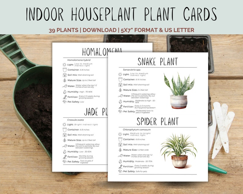 Indoor Houseplant Cards With Planting Information - 5x7