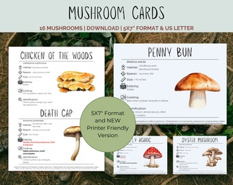 Tarjetas de hongos con información de búsqueda de alimento - Descarga de 5x7" - Hábitat, Temporada, Toxicidad, Cocina, Identificación