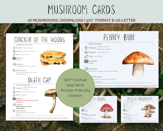 Foraging Oyster Mushrooms: Identification And Season And Habitat Guide 