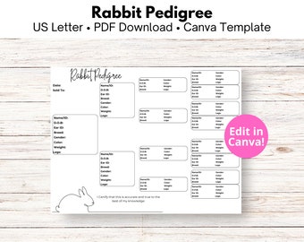 Rabbit Pedigree Chart Template Editable in Canva, US Letter Size, Instant Download, DIY Bunny Genealogy, Breeder Records