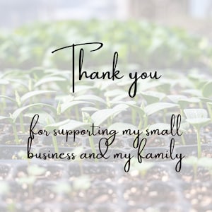 May include: Image with the text "Thank you for supporting my small business and my family" in a cursive font. The background is a blurred image of seedlings in a tray, suggesting a gardening or plant-related theme.