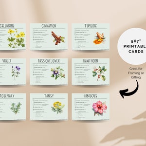 May include: Nine printable 5x7 inch cards featuring botanical illustrations of various herbs and flowers, including calendine, cinnamon, tumeric, violet, passionflower, hawthorn, rosemary, tansy, and hibiscus. Each card includes the common name of the plant and a list of its properties.