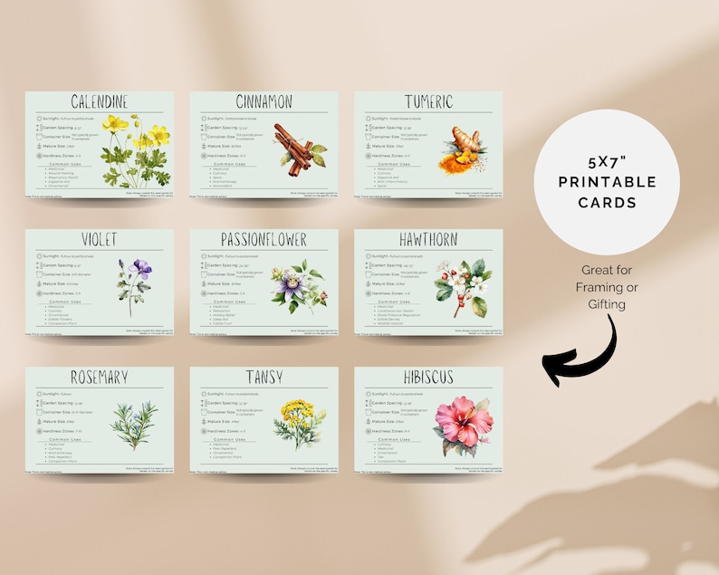 May include: Nine printable 5x7 inch cards featuring botanical illustrations of various herbs and flowers, including calendine, cinnamon, tumeric, violet, passionflower, hawthorn, rosemary, tansy, and hibiscus. Each card includes the common name of the plant and a list of its properties.