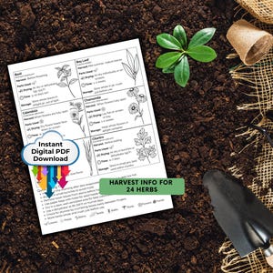 Kräuterkunde Printable | Kräutertrocknungsdiagramm-Leitfaden für Aufbewahrungsmethoden Tipps | Saisonale Ernte Referenz Küche Garten Dekor Geschenk