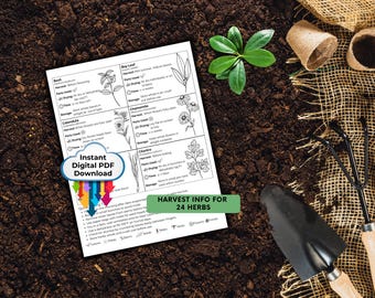 Herb Drying Chart Printable | 4-Page Guide for Herbs | Air Drying & Dehydrator Tips | Herb Uses and Harvest Guide | Kitchen or Garden Decor