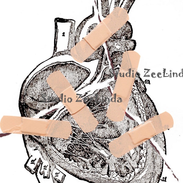 VINTAGE anatomical diagram BROKEN HEART/ blank greeting card