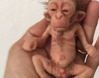 Little Baby Macaque Platinum Silicone Sculpture | Hand-Sculpted Realistic Monkey Figurine | Lifelike Animal Art for Collectors