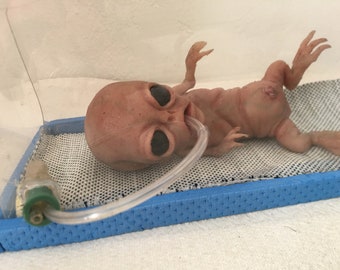 Gray Alien Fetus