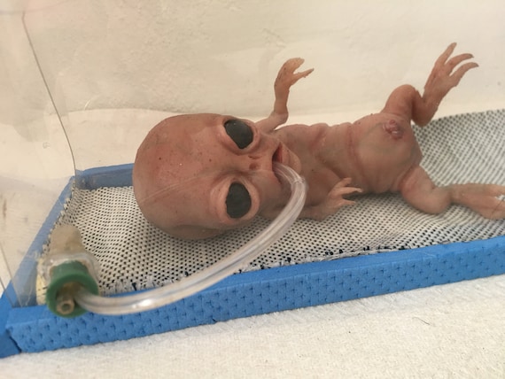 Gray Alien Fetus Platinum Silicone Sculpture | Hand-sculpted