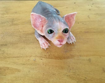 Baby Sphynx Realistic in Silicone - Ultrarealistic Sculpture Handmade by Laira Maganuco