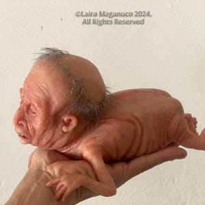 Lifelike Sex Toys - Etsy