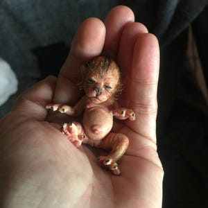 baby lycanthrope