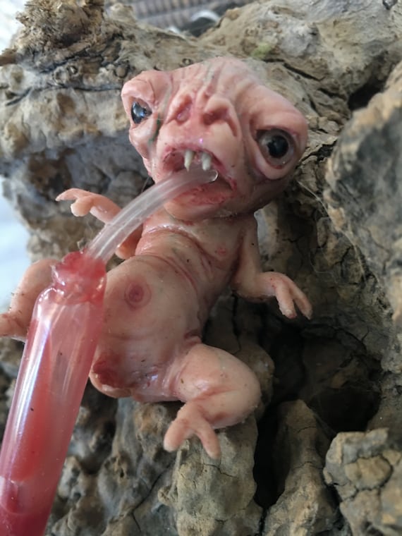 Hand-sculpted Baby Alien Fetus in Platinum Silicone | Realistic