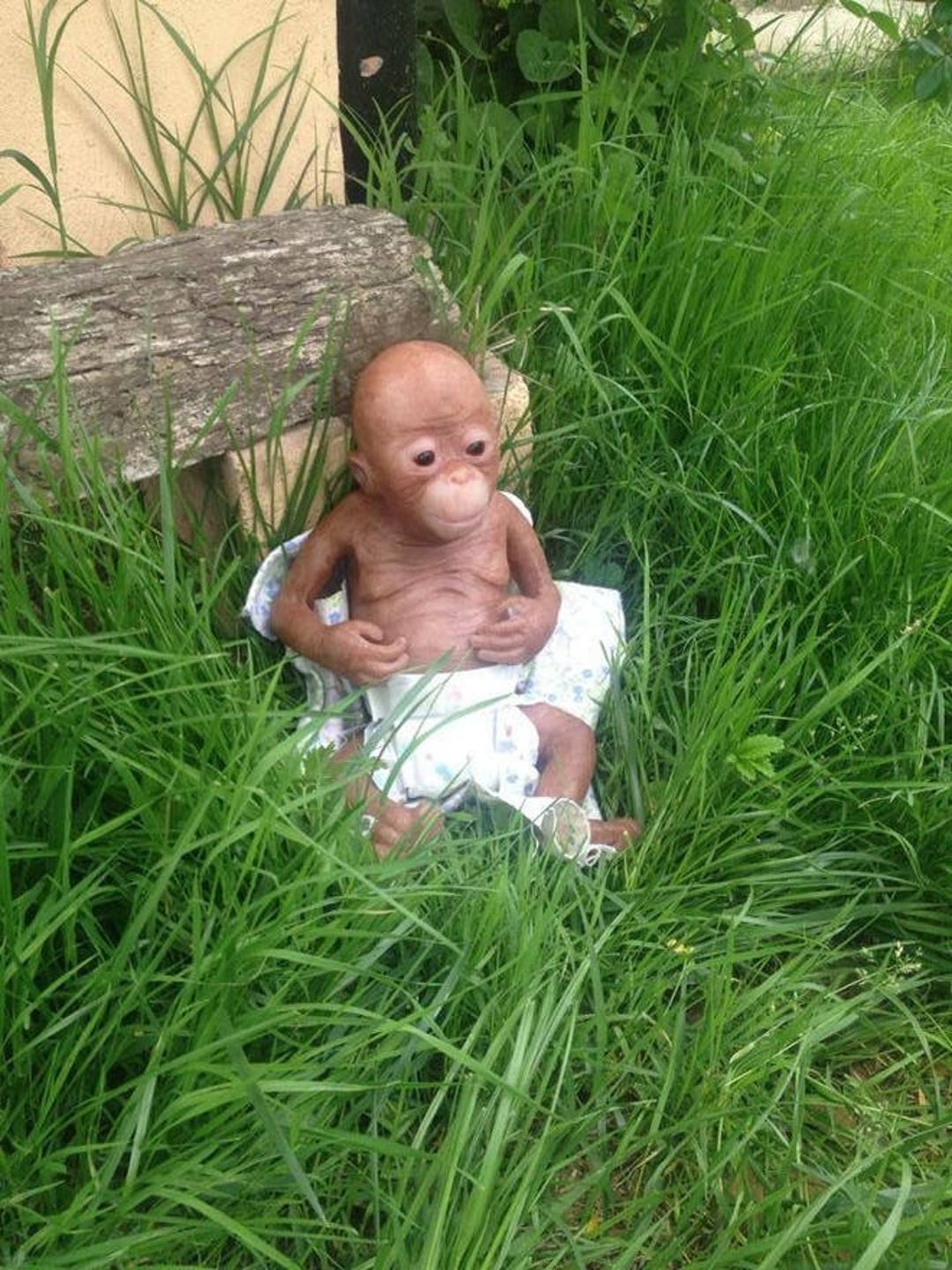 Baby Monkey Coco - Etsy