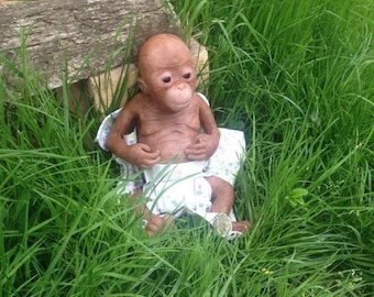 baby monkey coco