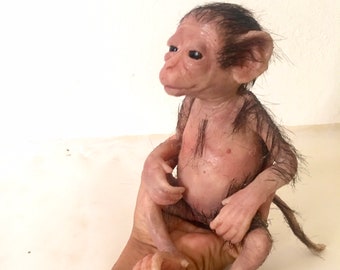 Mini Monkey Capuchin. Silicone