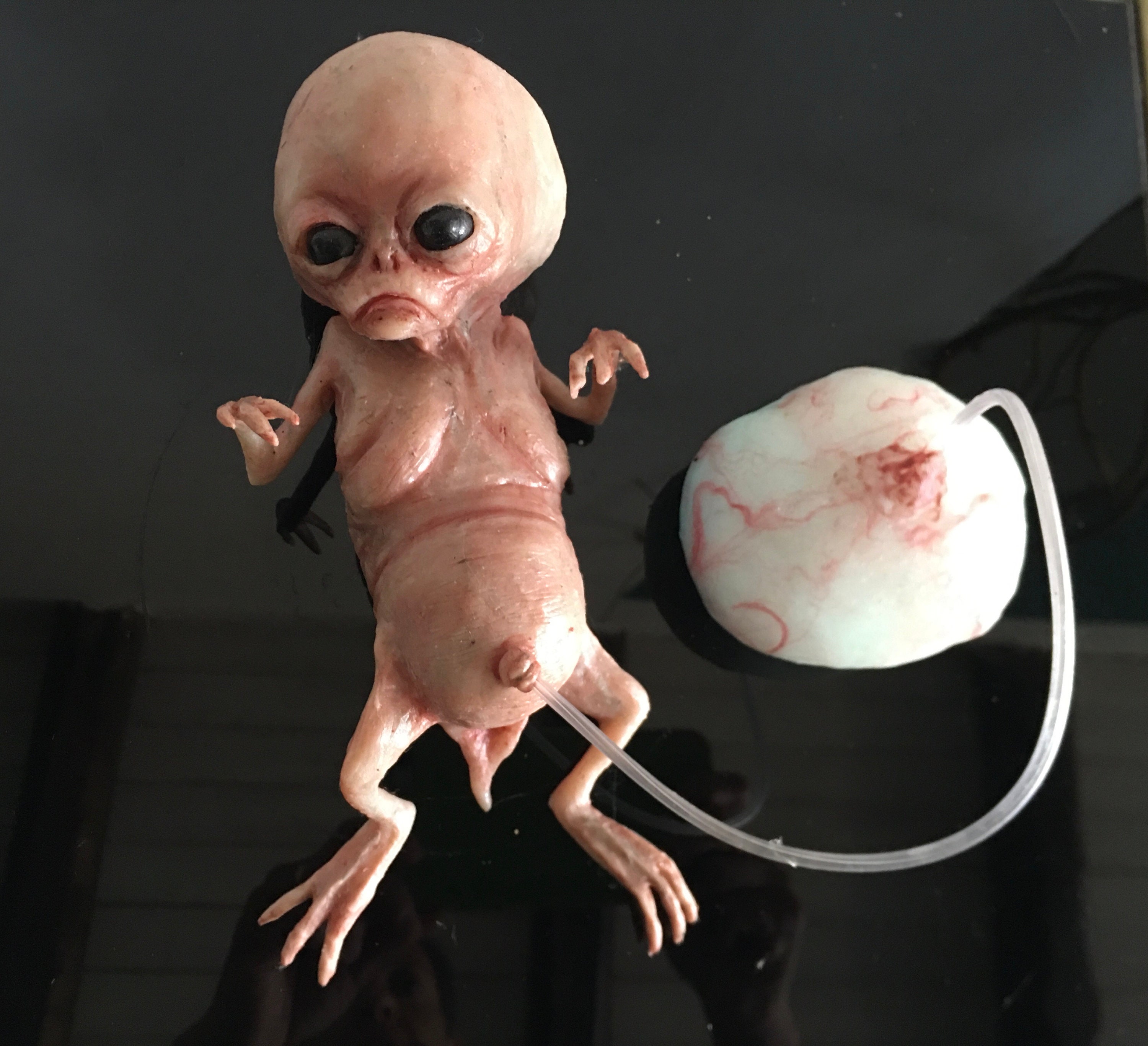 Amazon.co.jp: 『Baby Alien 』ベイビーテラーズ ベイビー