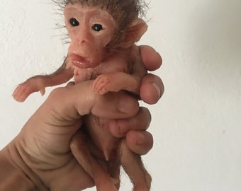 nieuwe baby makaak