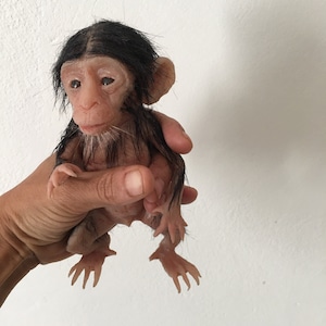 May include: A small, realistic-looking baby chimpanzee doll with black hair and a pink body. The doll is being held in a person's hand.