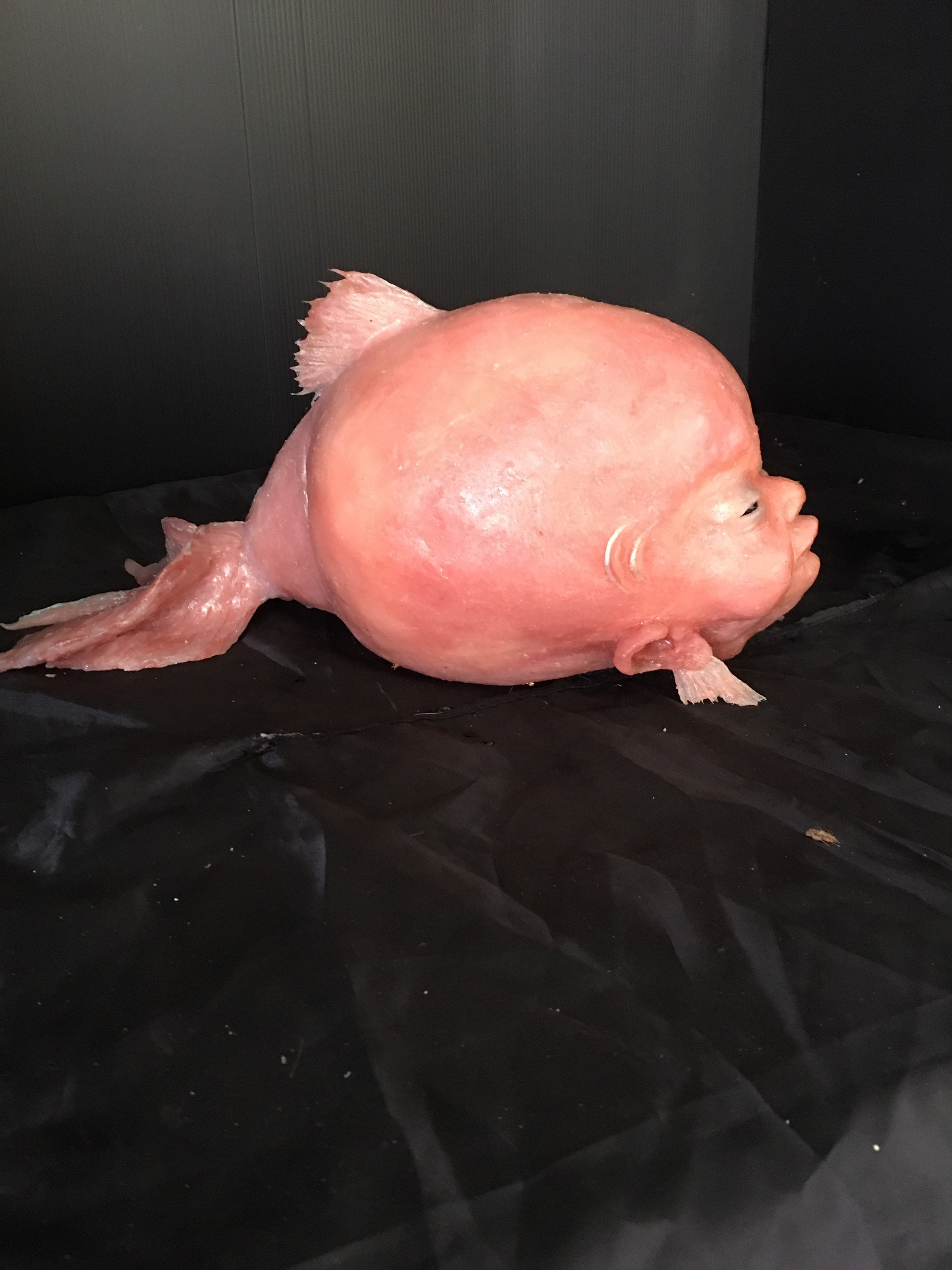 オランダ魚の突然変異手作りシリコン彫刻 |ユニークなファンタジー魚