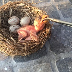 Handcrafted Baby Sparrow Silicone Sculpture | Realistic Platinum Silicone Bird Figurine | Unique Sparrow Art Perfect for Collectors